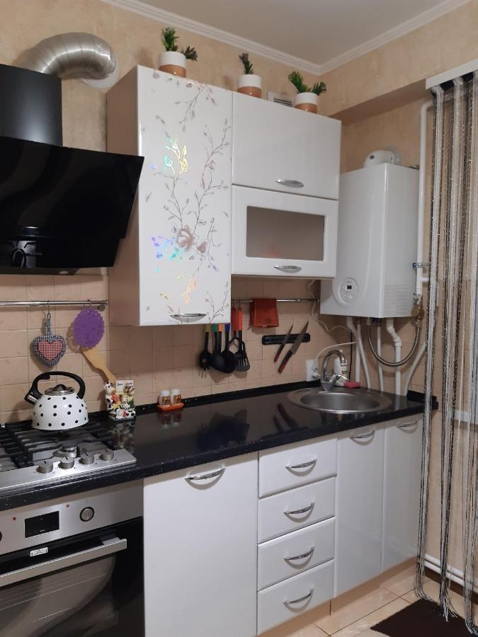 Двокімнатна Apartment Șepetivka Exterior foto